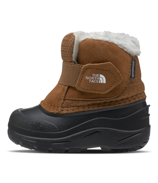 The North Face - Toddler Alpenglow II - Boysenberry/TNF Black