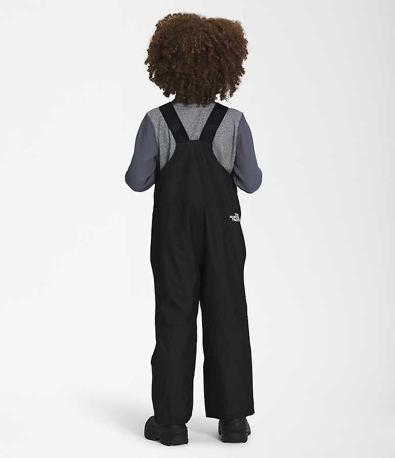The North Face - Freedom Insulated Bib Kids - Tnf Black