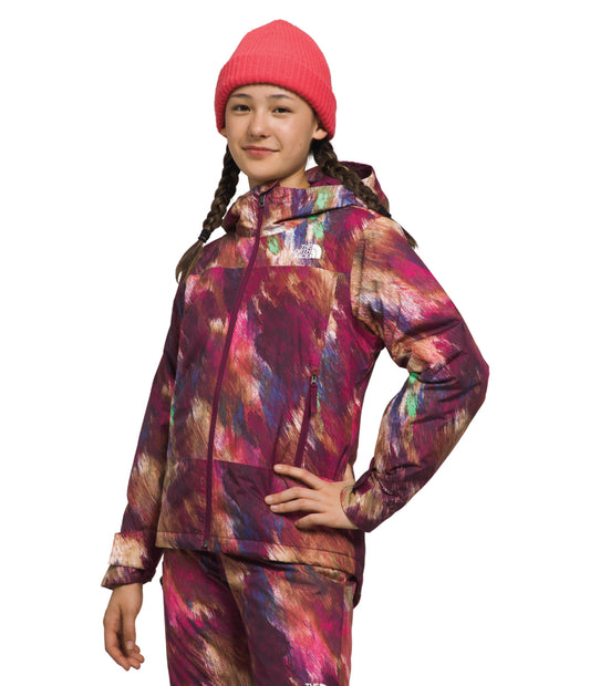 The North Face - Freedom Insulated Jacket - Girls' - Boysenberry Paint Lightening Small Print