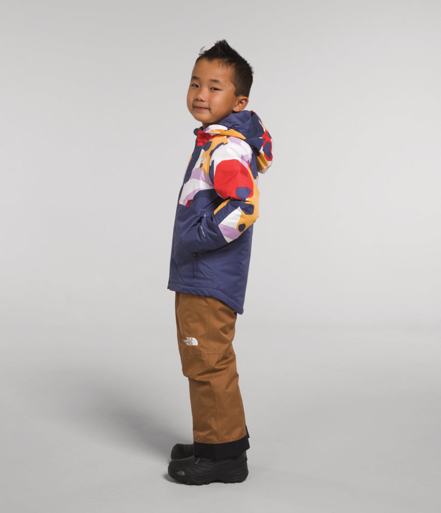 The North Face - Freedom Insulated Jacket - Kids' - Mr. Pink Big Abstract Print