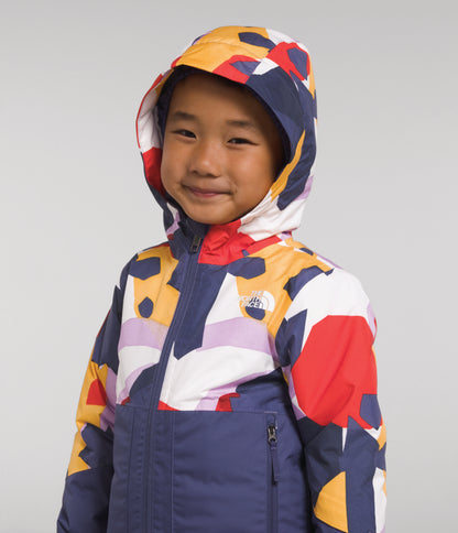 The North Face - Freedom Insulated Jacket - Kids' - Mr. Pink Big Abstract Print