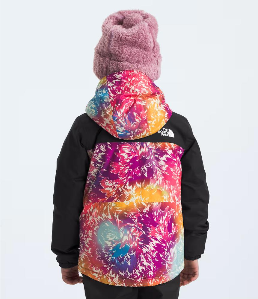 The North Face - Freedom Insulated Jacket - Kids'