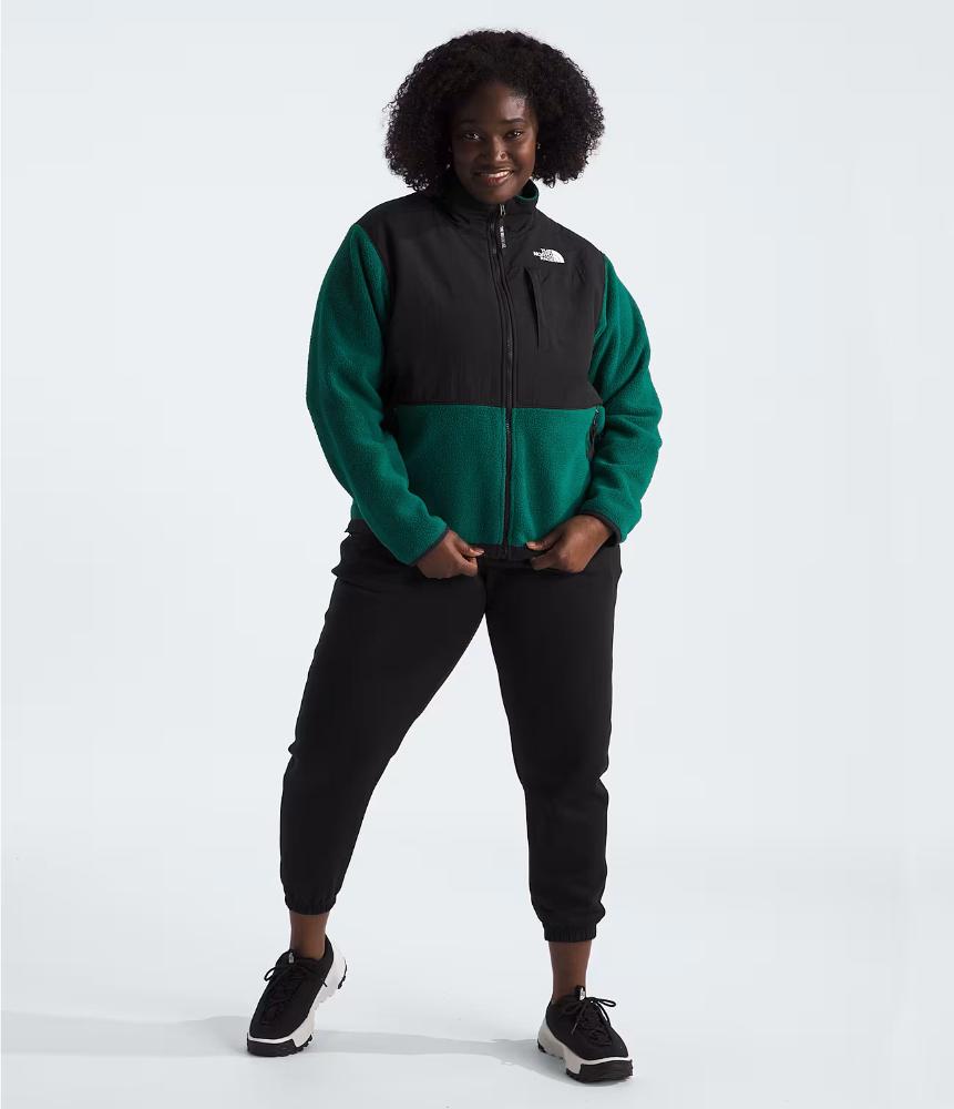 The North Face - Retro Denali Jacket - Women's Plus