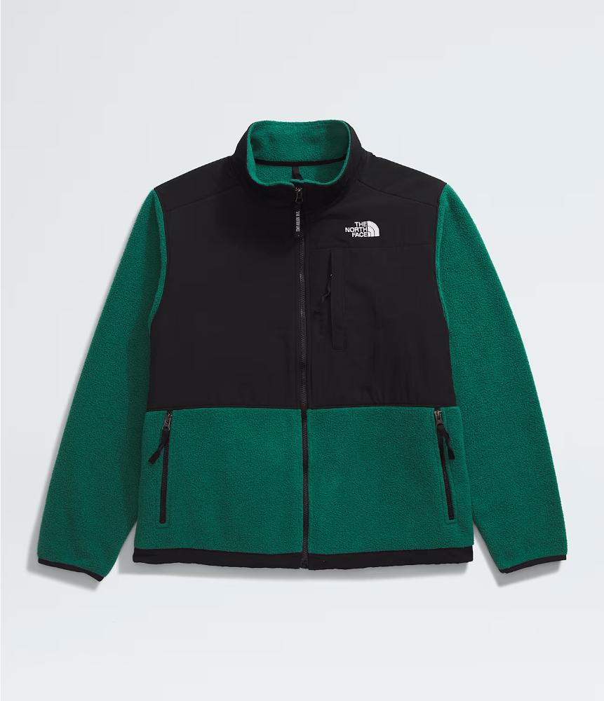 The North Face - Retro Denali Jacket - Women's Plus