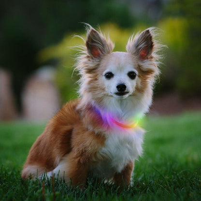 Nite Ize - NiteHowl Mini LED Necklace - Disc-O Select