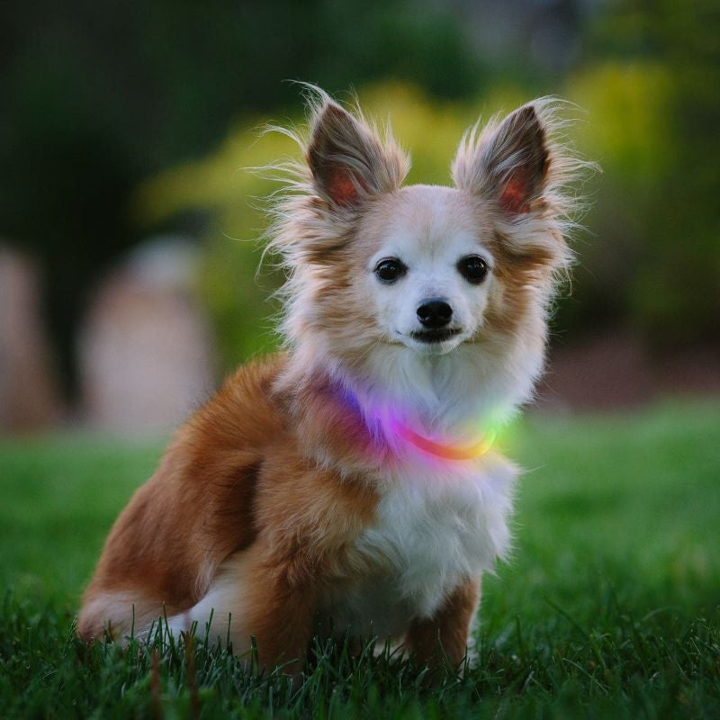 Nite Ize - NiteHowl Mini LED Necklace