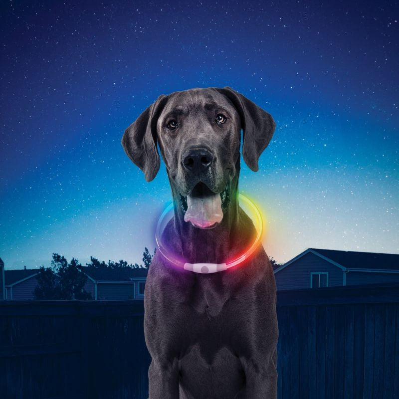 Nite Ize - NiteHowl Mini LED Necklace - Disc-O Select