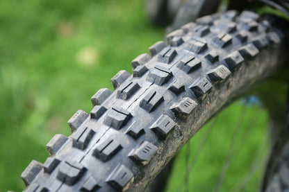 Maxxis - Assegai 3C MaxxTerra EXO+ - Black