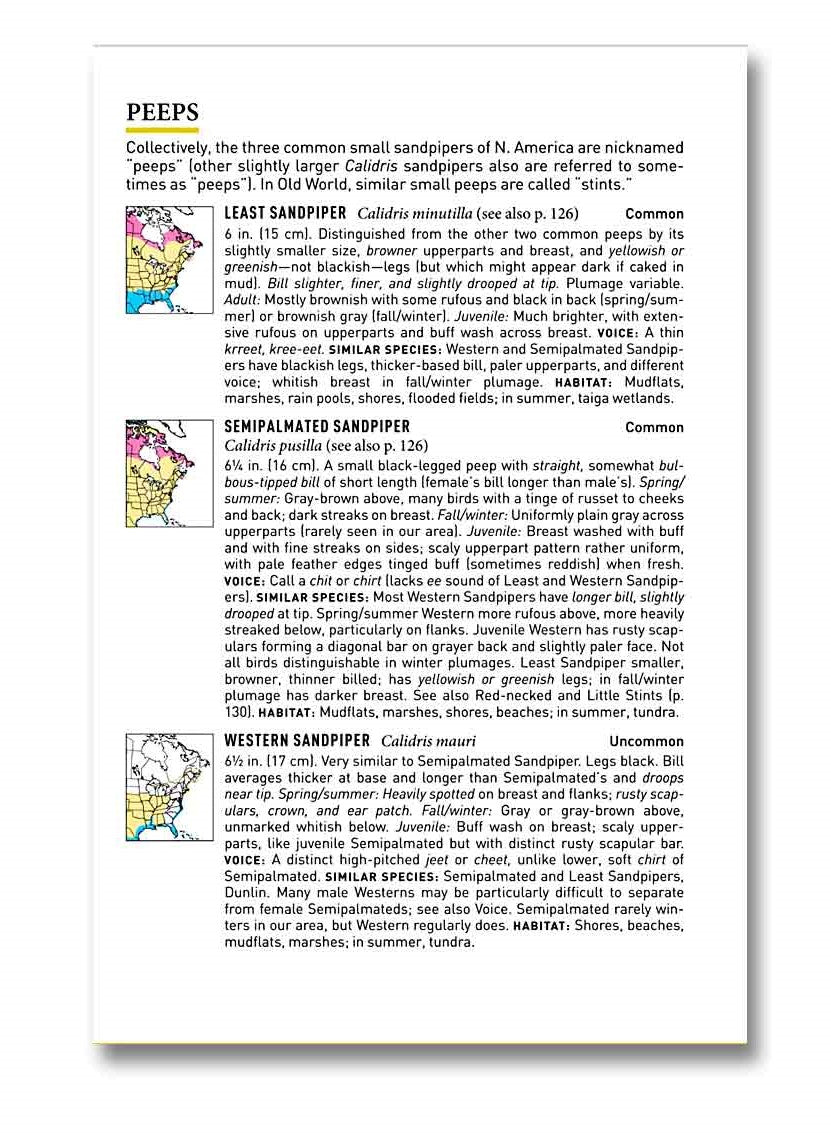 The Peterson Field Guide to Birds of Eastern and Central North America, Seventh Edition