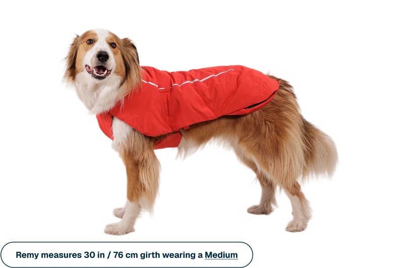 Ruffwear - Powder Hound Waterproof Insulated Vest - Red Currant