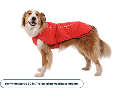 Ruffwear - Powder Hound Waterproof Insulated Vest - Red Currant