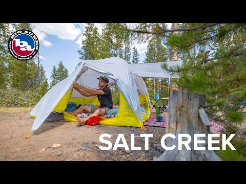 Big Agnes - Salt Creek 2 Tent - Gray Violet Warm Olive