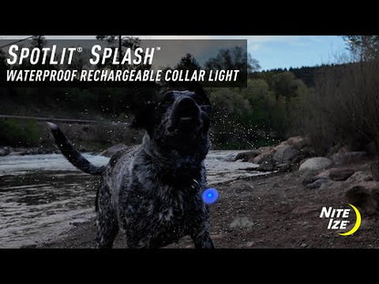 Nite Ize - SpotLit Splash Waterproof Rechargeable Collar Light - Disc-O Tech