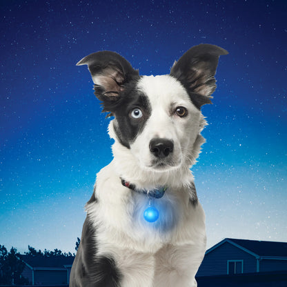 Nite Ize - SpotLit Collar Light - Blue