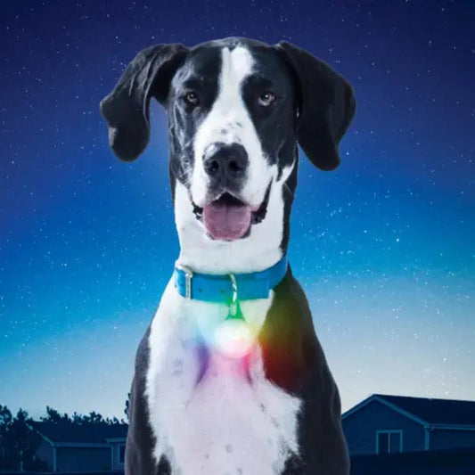 Nite Ize - SpotLit XL Rechargeable Collar Light