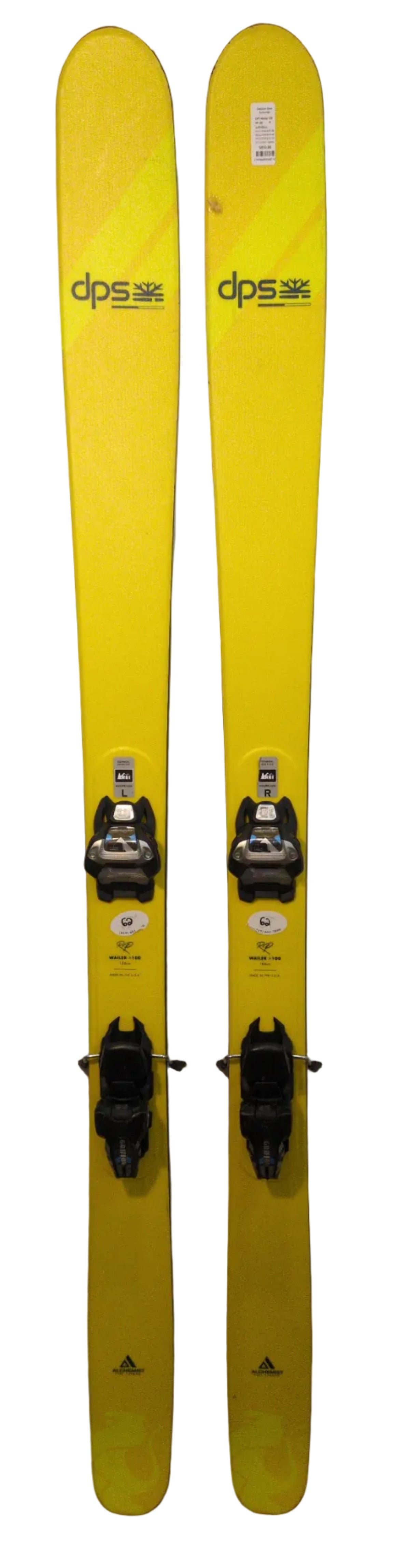 DPS Wailer 100 RP 184 w/Griffons