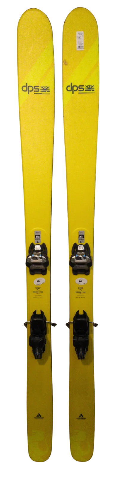 DPS Wailer 100 RP 184 w/Griffons