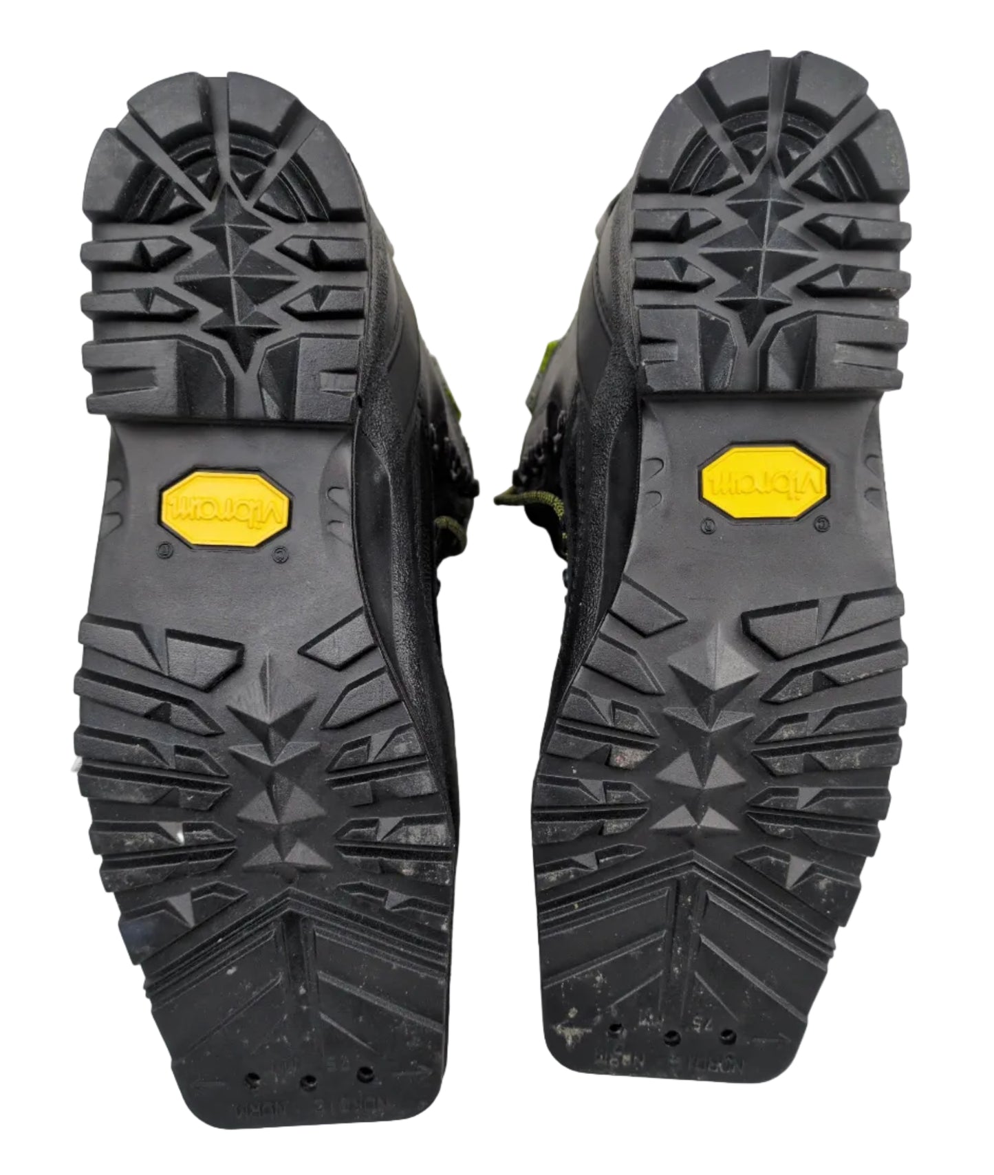 Fischer - BCX Transnordic 75 WP - Unisex