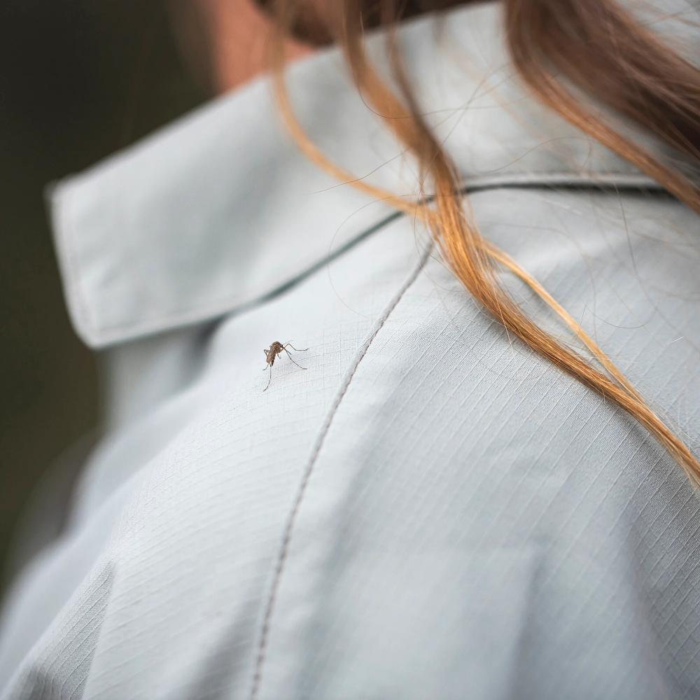 Royal Robbins - Expedition III Long Sleeve - Women's - Sage Leaf