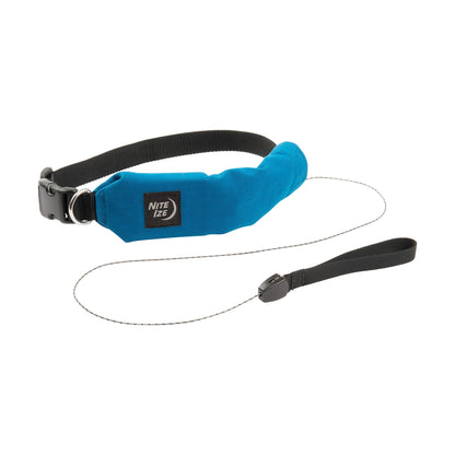 Nite Ize - RadDog All-In-One Collar - Blue
