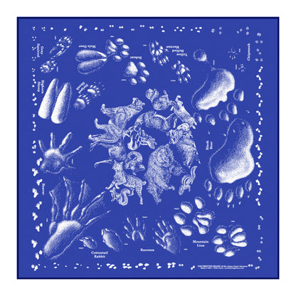 The Printed Image - Bandana - Birds Of Prey
