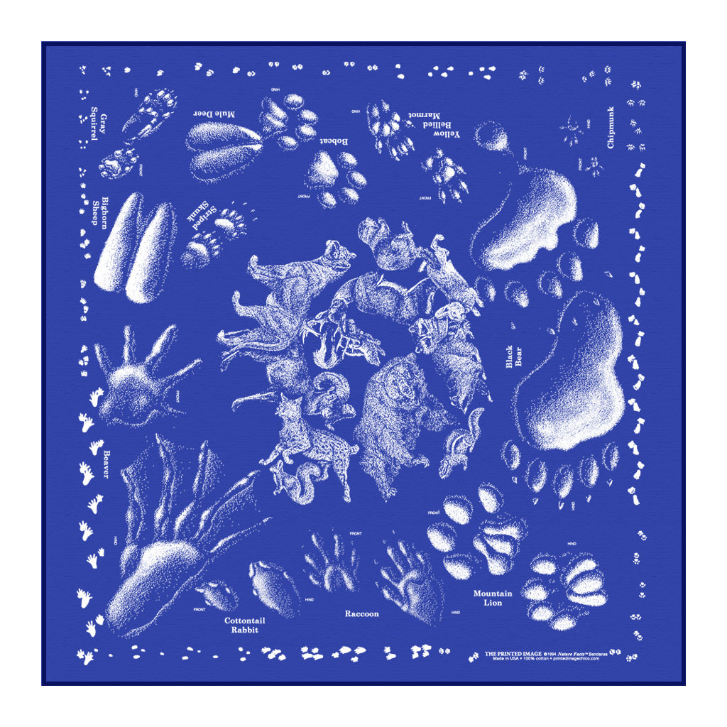 The Printed Image - Bandana - Glow in the Dark Stars