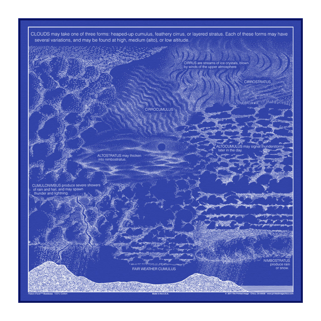 The Printed Image - Bandana - Glow in the Dark Stars