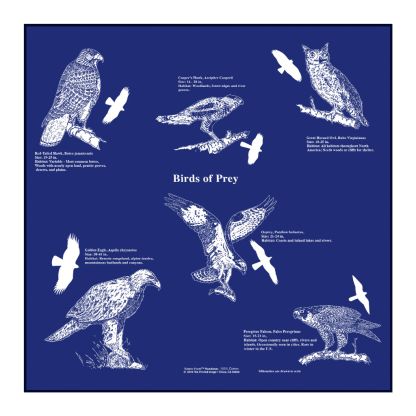The Printed Image - Bandana - Clouds
