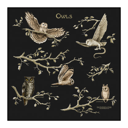 The Printed Image - Bandana - Glow in the Dark Stars