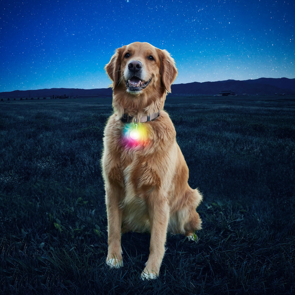Nite Ize - SpotLit Collar Light