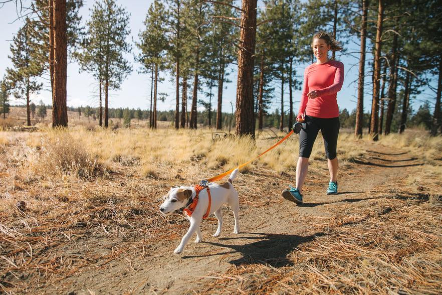Ruffwear - Hi & Light Harness