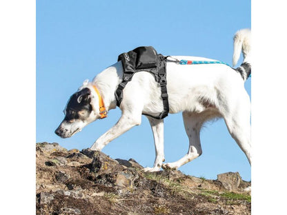 Kurgo - Stash n' Dash Harness - Black