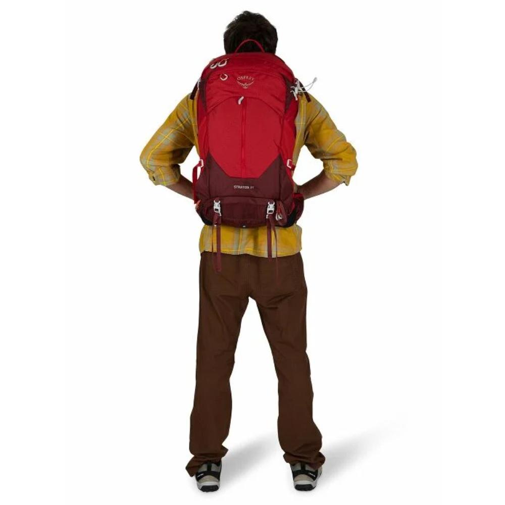 Osprey - Stratos 34 - Cetacean Blue