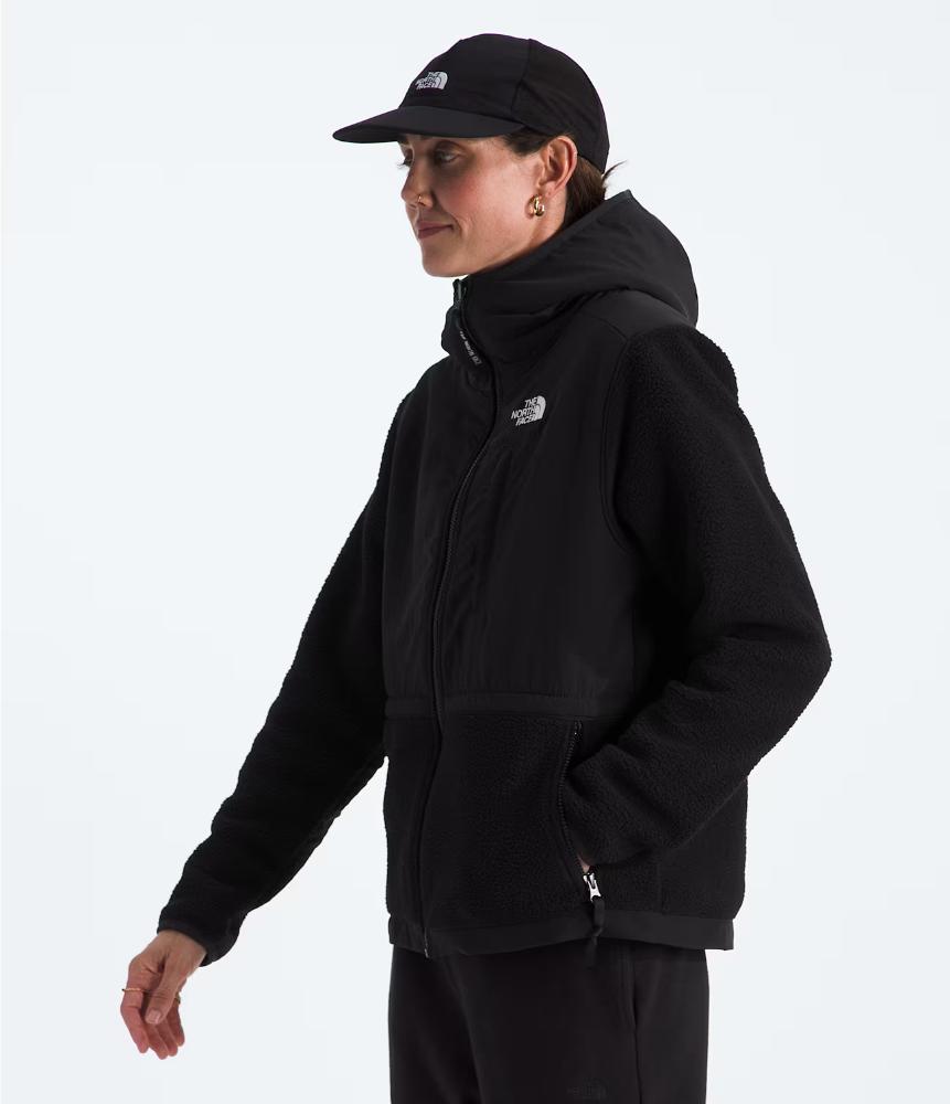 The North Face - Retro Denali Hoodie - Women's - Tnfmediumgryhtr