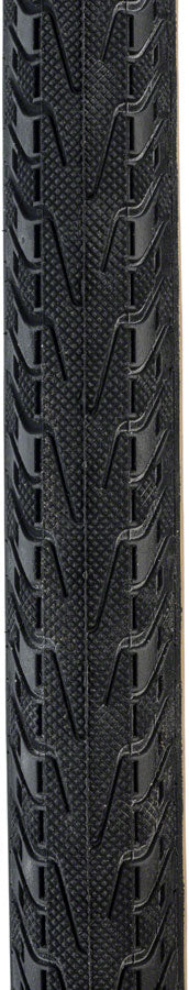 Panaracer - Pasela Tire - Black/Tan