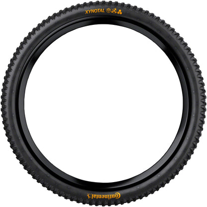 Continental - Xynotal Tire - 29 x 2.40, Tubeless, Folding, Black, Soft, Enduro Casing, E25 - Black