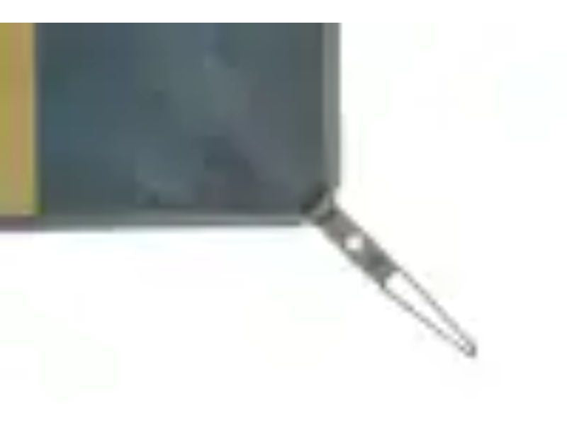 Nemo - Victory Patio Blanket