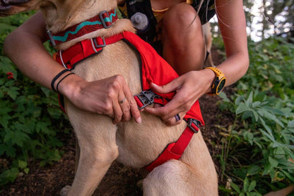 Ruffwear - Switchbak Harness