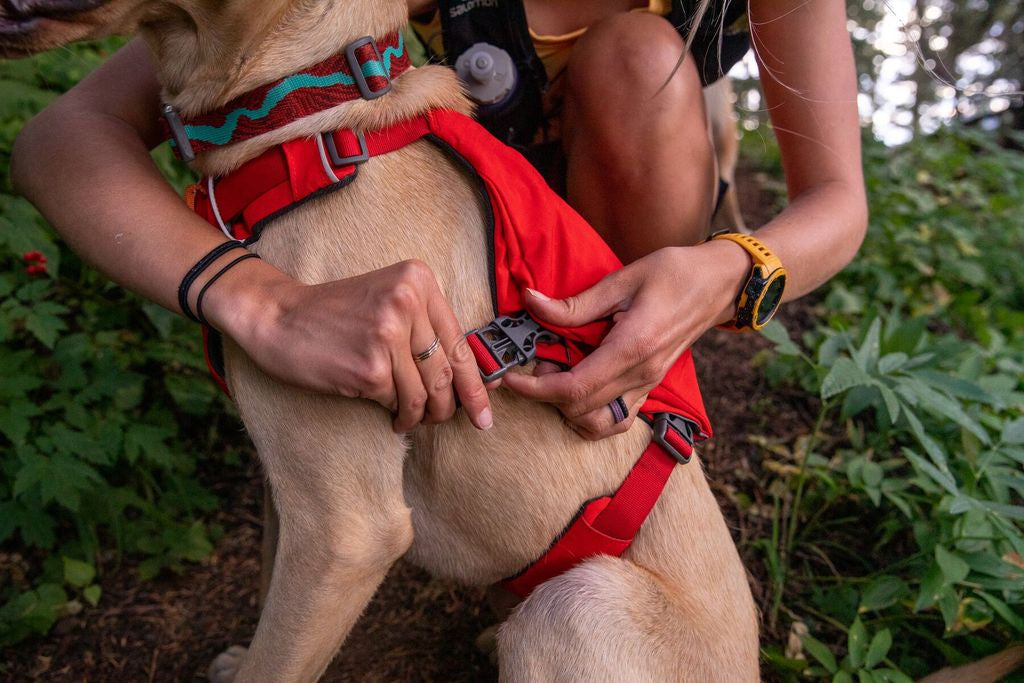 Ruffwear - Switchbak Harness - Red Sumac