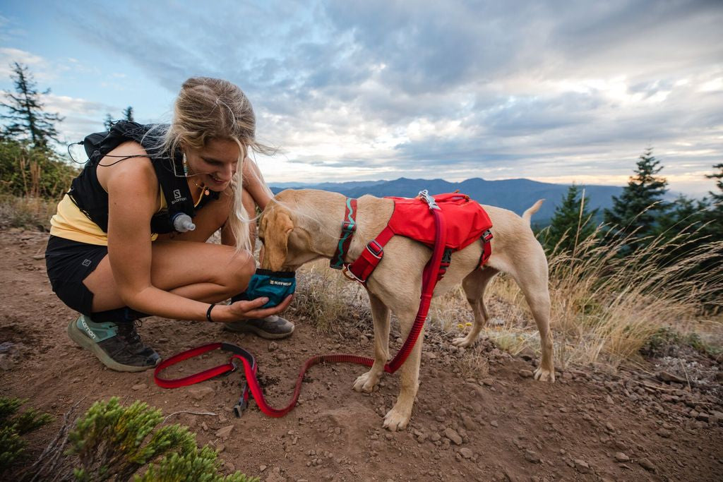 Ruffwear - Switchbak Harness - Red Sumac
