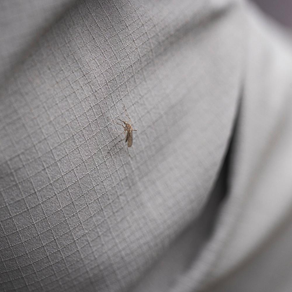 Royal Robbins - Expedition III Long Sleeve - Men's